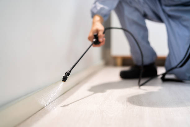 Licensed Pest Control service in Gamerco, NM - Show Me Pest Control